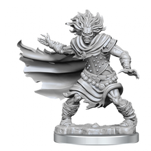 Load image into Gallery viewer, D&D Frameworks - Wight