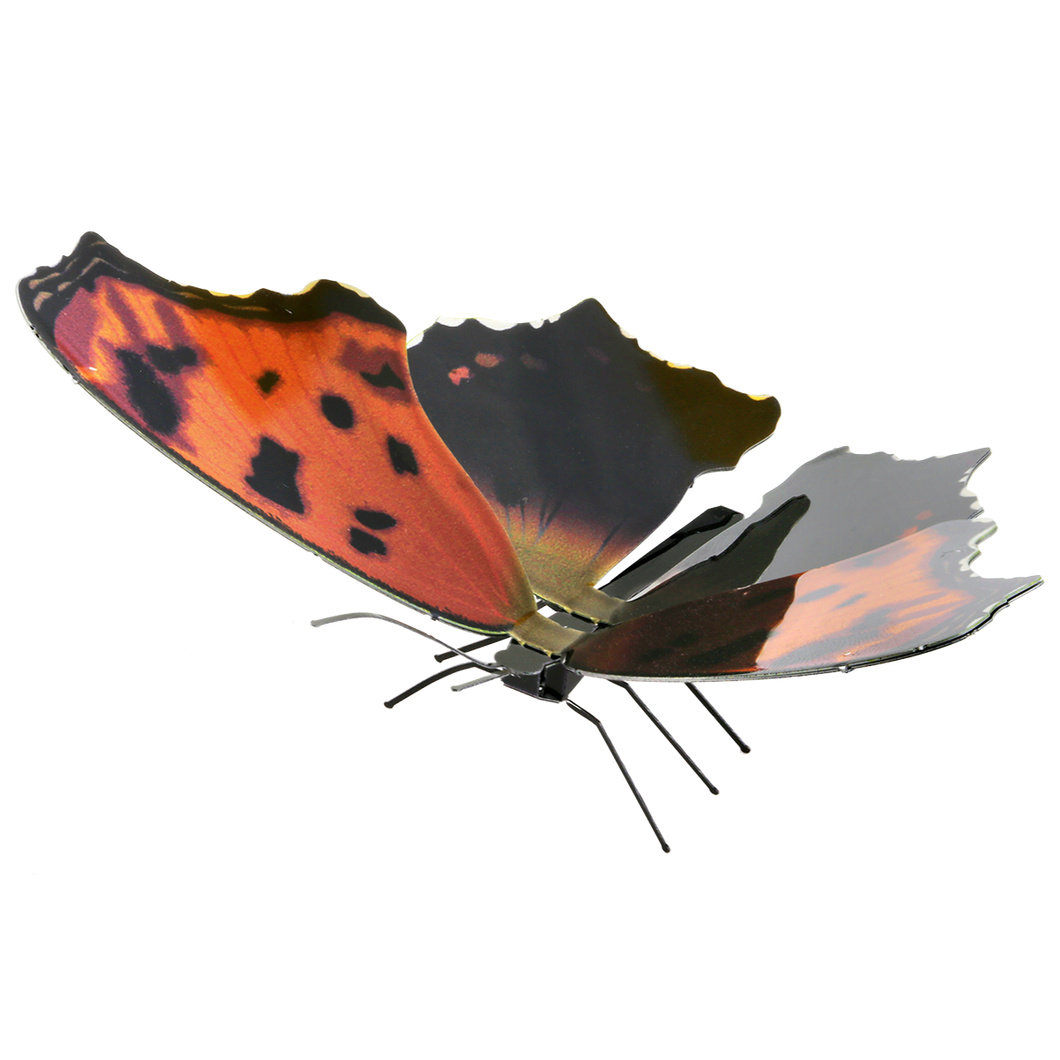 Eastern Comma Butterfly - Metal Earth