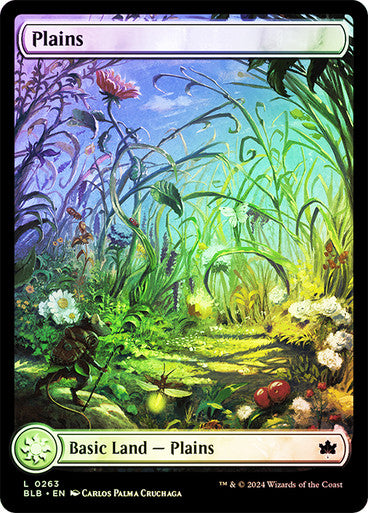 Plains (Summer) (Full Art Foil) #0263 L C [BLB]