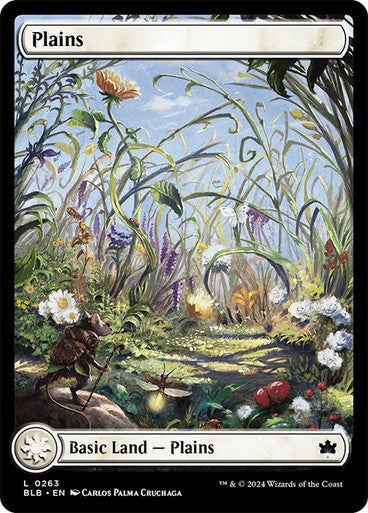 Plains (Summer) (Full Art) #0263 L C [BLB]
