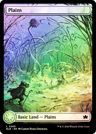 Plains (Winter) (Full Art Foil) #0265 L C [BLB]