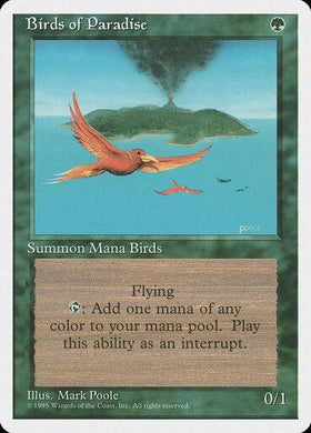Birds of Paradise - Mega Games Penrith