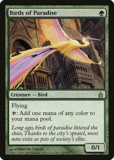 Birds of Paradise - Mega Games Penrith