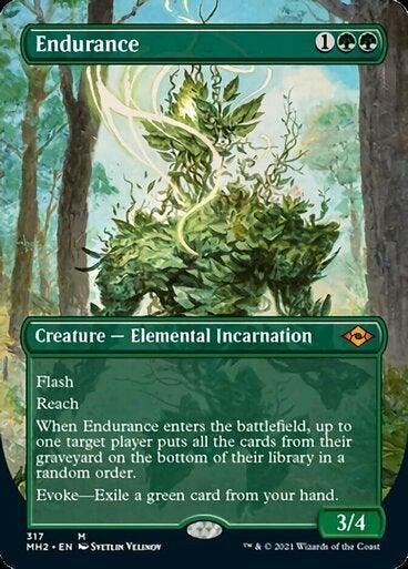 Endurance (Borderless) - Mega Games Penrith