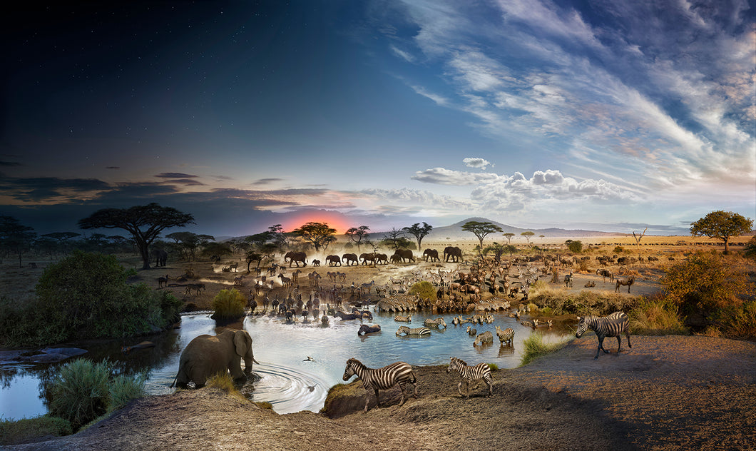 Serengeti National Park Tanzania - 1000pc Jigsaw Puzzle - Stephen Wilkes - Cityscape