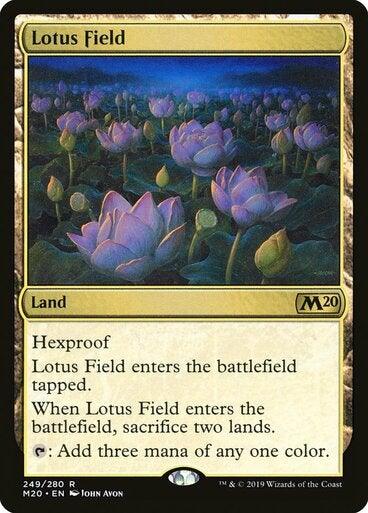 Lotus Field - Mega Games Penrith