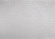 Load image into Gallery viewer, Krypt: Silver Spiral - 654pc Jigsaw Puzzle - RB159642
